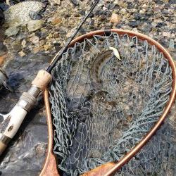 本流サイズは出なかった( ノД`)…