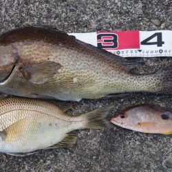 久しぶりの好釣果