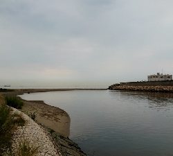 チニング→フラットフィッシュ