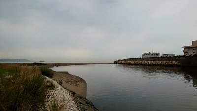 チニング→フラットフィッシュ