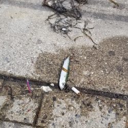 コスモでライトジグサビキ