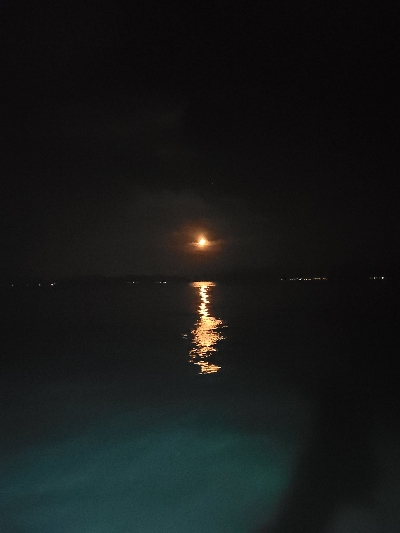 今季初イカメタル