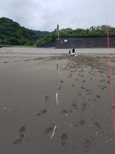 今日も満足しました