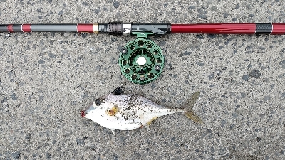 隔週で奴がくるのか？