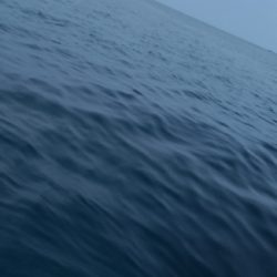 久しぶりの投稿です