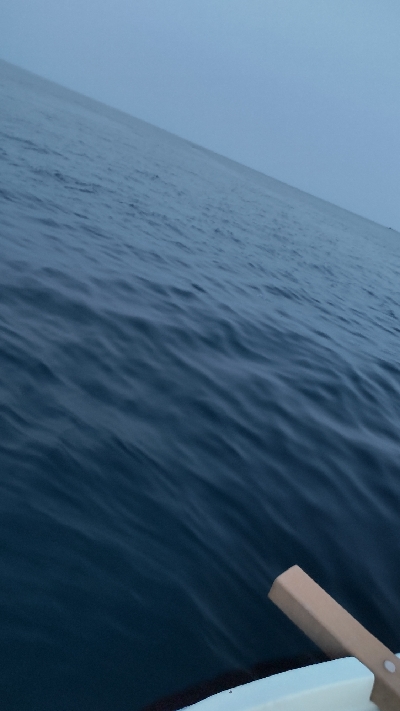 久しぶりの投稿です