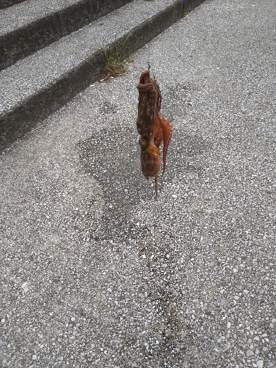 2021釣行投稿NO.5