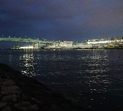 チーバスと諸々