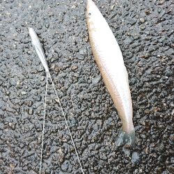 梅雨の中・・・