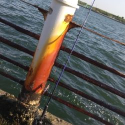 昼からでも行けます