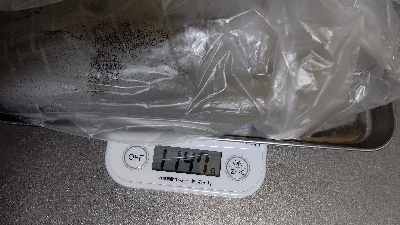 春イカ…もう夏イカ？