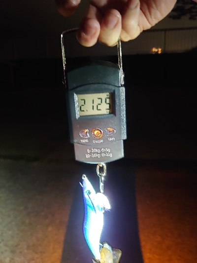 やったぜ!アオリ自己新!!