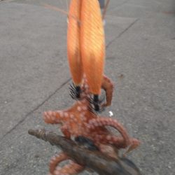 大物かと思いきや