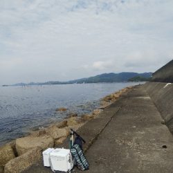 苅屋海岸のキス釣り