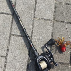 続・タコだけは裏切らない。。。小さいけど。。