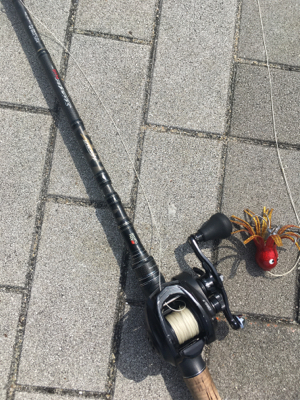 続・タコだけは裏切らない。。。小さいけど。。