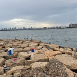 夕方からぶっ込み釣り