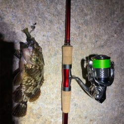 チニングとサバ釣り