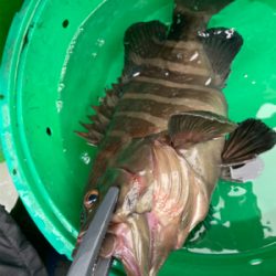 銚子、イワシ泳がせ五目