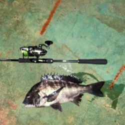 バラしてばっか