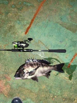 バラしてばっか