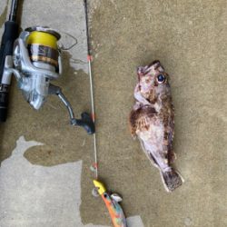 カヤックでティップランエギングにアラカブ