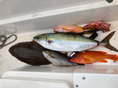 スーパーライトジギング