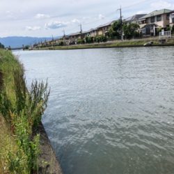 バス釣りのはずが・・・