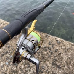 洲本港で紀州釣り