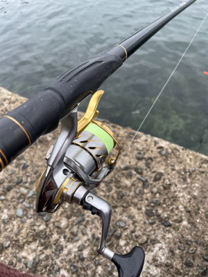 洲本港で紀州釣り