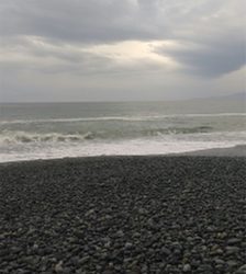 ワカシちゃんおまたせ❗️