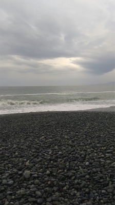 ワカシちゃんおまたせ❗️