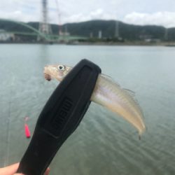 目玉が釣れた！こんな事ある！？
