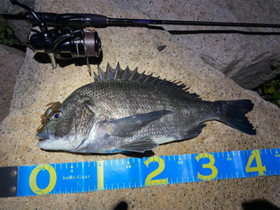 淀川ブリームゲーム