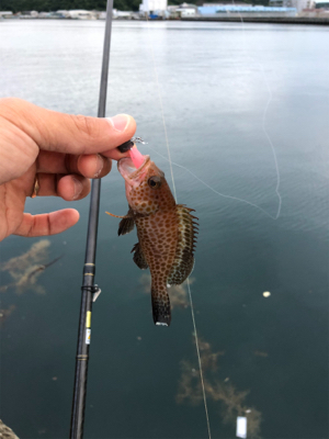 なんとか釣れたぁ〜