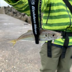 梅雨空のサバゲーム