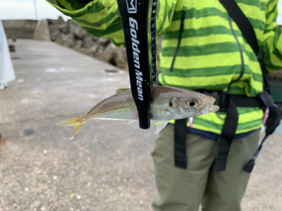 梅雨空のサバゲーム