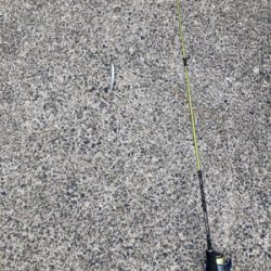 35センチのカマスが爆釣！！