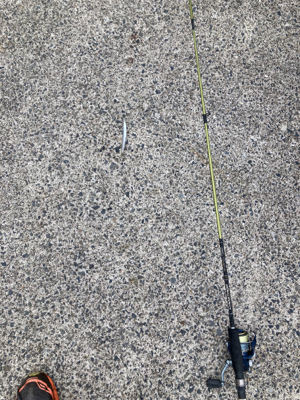 35センチのカマスが爆釣！！