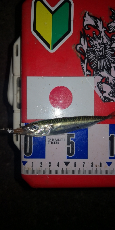 アジング練習　303　椅子を忘れました