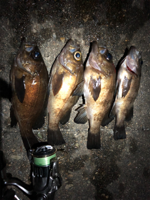 メバリングでダイエット