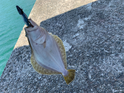 デイライトゲーム