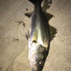 バラしまくり(>_<)