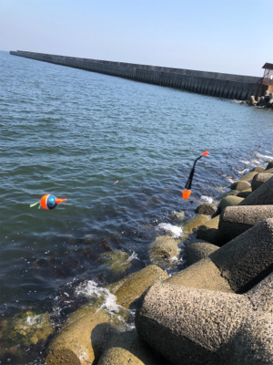 グレフカセ釣り