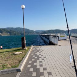 なかなかの強風で