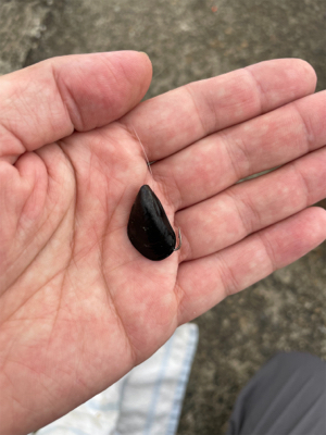 目印スライダー