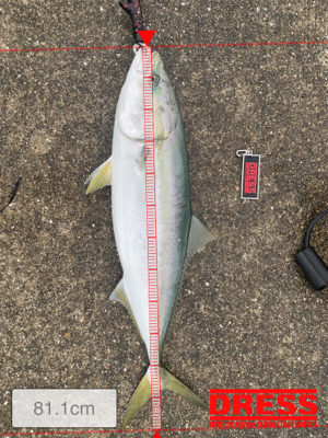 先週の借りを返しに