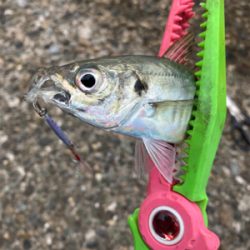 メタルアジング