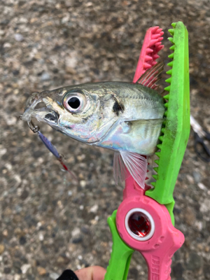 メタルアジング