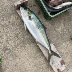 じゃのひれフィッシングパークさんにて